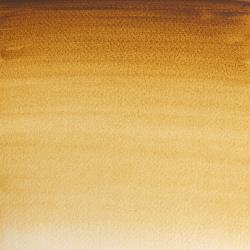 554 Raw Umber