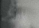 [13.1244] Daniel Smith Watercolour Paints (244 Joseph Z's Neutral Grey, 15 ml)