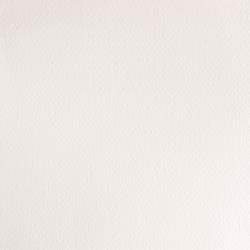 [73.4496] Watercolor paint W&N Professional (307 Chinese White, ½ pánvička)