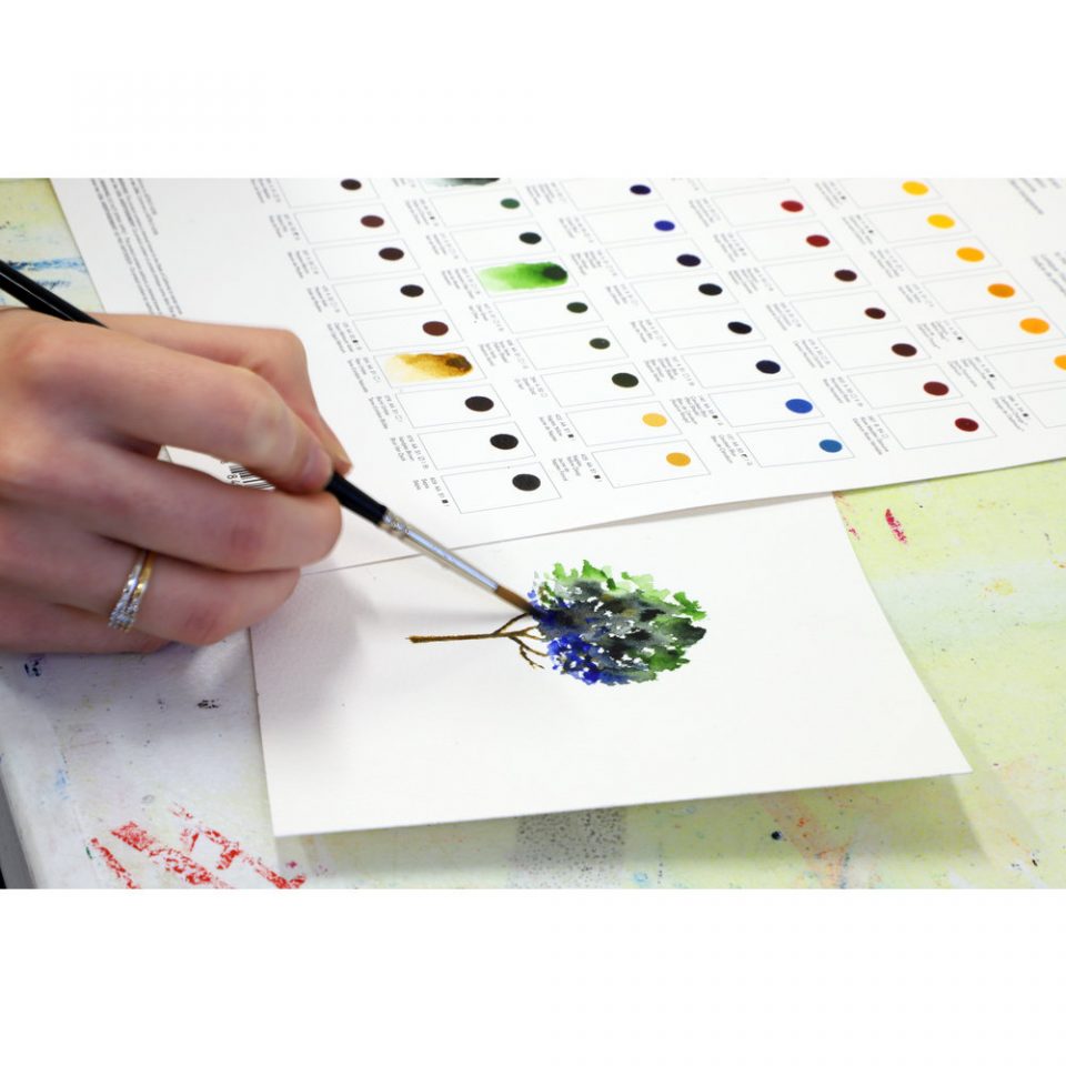 [73.4915] Dot Card Winsor & Newton complete range