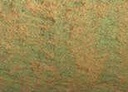 [13.1437] Daniel Smith Watercolour Paints (4037 Duochrome Saguaro Green, 15 ml)