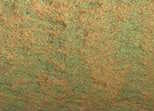 4037 Duochrome Saguaro Green