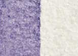 [13.1405] Daniel Smith Watercolour Paints (4005 Interference Lilac, 15 ml)