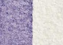 [13.1405] Daniel Smith Watercolour Paints (4005 Interference Lilac, 15 ml)