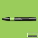 [73.5734] Double-sided marker WN Promarker (Leaf Green (G258))