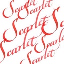 Kaligrafický inkoust W&N 30ml – 601 Scarlet