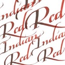 [73.6011] Calligraphy ink W&N 30ml (317 Indian Red)