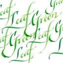 [73.6012] Calligraphy ink W&N 30ml (341 Leaf Green)