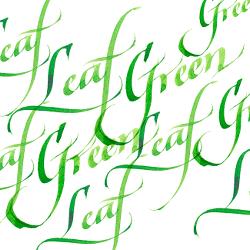 Calligraphy ink W&N 30ml – 341 Leaf Green