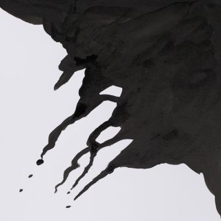 [73.6031] Indian ink Winsor Newton with dropper 30ml