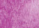 Akvarelové barvy Daniel Smith 5 ml – 030 Cobalt Violet