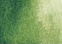 Akvarelové barvy Daniel Smith 5 ml – 102 Sap Green