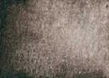 [13.2103] Daniel Smith Watercolour Paints (103 Sepia, 5 ml)