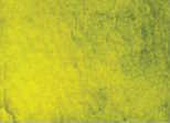 139 Green Gold