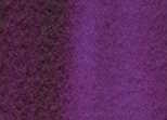 225 Quinacridone Purple