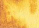 [13.2061] Daniel Smith Watercolour Paints (061 Nickel Azo Yellow, 5 ml)