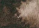 [13.2097] Daniel Smith Watercolour Paints (097 Raw Umber, 5 ml)