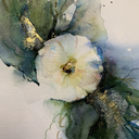 [13.1908] DS 6x5ml Jean Haines "All that Shimmers" set of watercolor paints