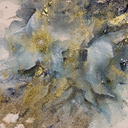 [13.1908] DS 6x5ml Jean Haines "All that Shimmers" set of watercolor paints