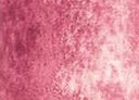 [13.1148] Daniel Smith Watercolour Paints (148 Potter's Pink, 15 ml)