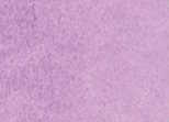 [13.1231] Daniel Smith Watercolour Paints (231 Wisteria, 15 ml)