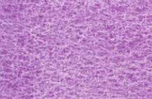 [13.1259] Daniel Smith Watercolour Paints (261 Manganese Violet, 15 ml)