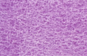 [13.1259] Daniel Smith Watercolour Paints (261 Manganese Violet, 15 ml)