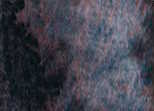 188 Shadow Violet