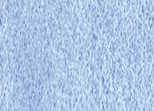 [13.1252] Daniel Smith Watercolour Paints (252 King's Royal Blue, 15 ml)