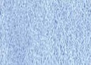 [13.1252] Daniel Smith Watercolour Paints (252 King's Royal Blue, 15 ml)